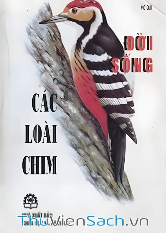 Ảnh bìa sách Đời Sống Của Các Loài Chim