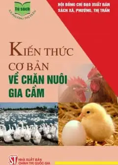 Kiến Thức Cơ Bản Về Chăn Nuôi Gia Cầm