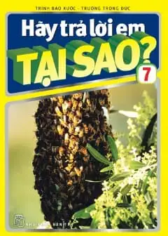 Ảnh Hãy Trả Lời Em Tại Sao? - Tập 7