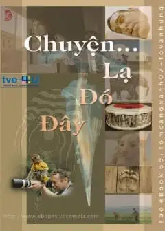 Ảnh Chuyện Lạ Đó Đây