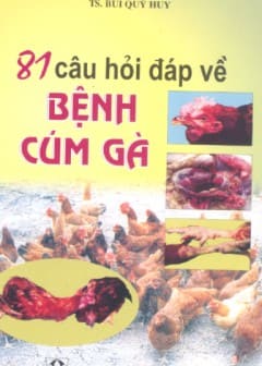 81 Câu Hỏi Đáp Về Bệnh Cúm Gà