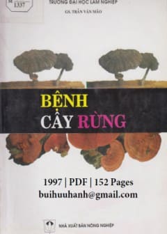 Bệnh Cây Rừng