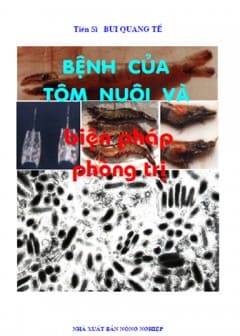 Bệnh Của Tôm Nuôi Và Biện Pháp Phòng Trị