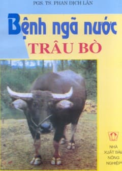 Bệnh Ngã Nước Trâu Bò