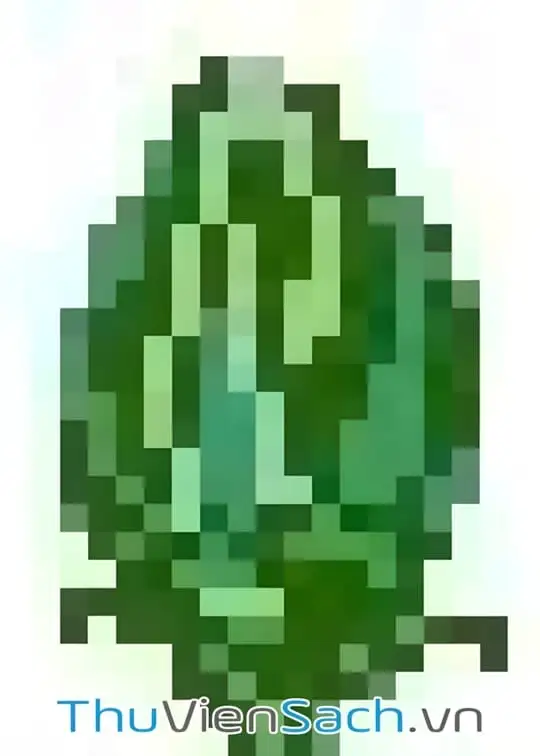 Ảnh bìa sách Mây Trắng Vẫn Bay