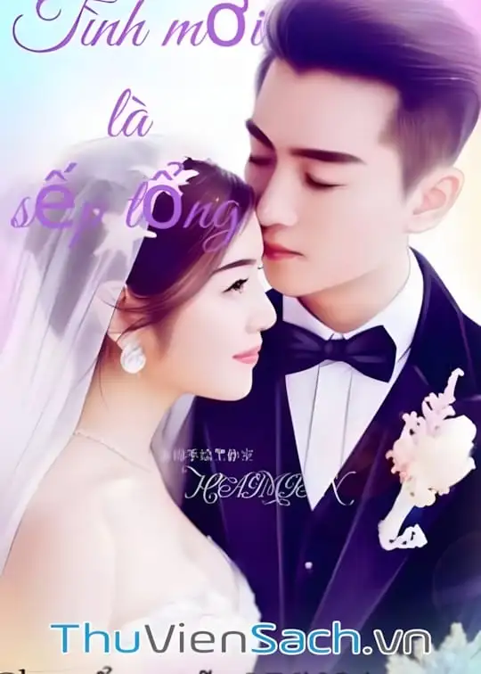 Ảnh bìa sách Tình Mới Là Sếp Tổng