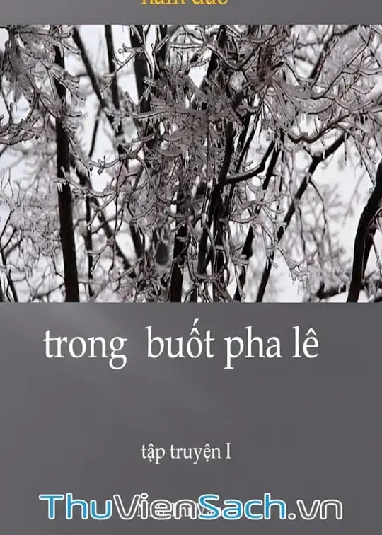 Ảnh bìa sách Trong Buốt Pha Lê
