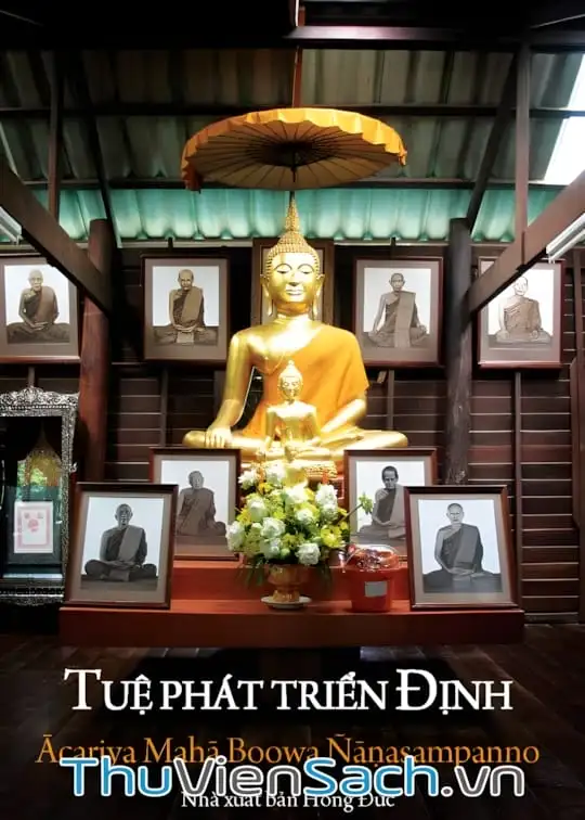 Ảnh bìa sách Tuệ Phát Triển Định