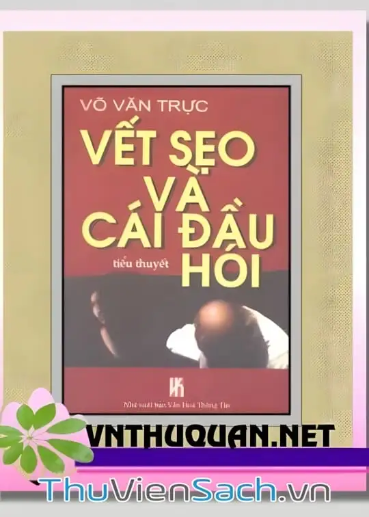 Ảnh bìa sách Vết Sẹo Và Cái Đầu Hói