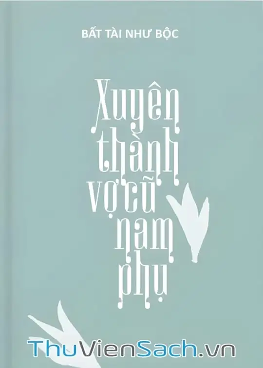 Ảnh bìa sách Xuyên Thành Vợ Cũ Nam Phụ