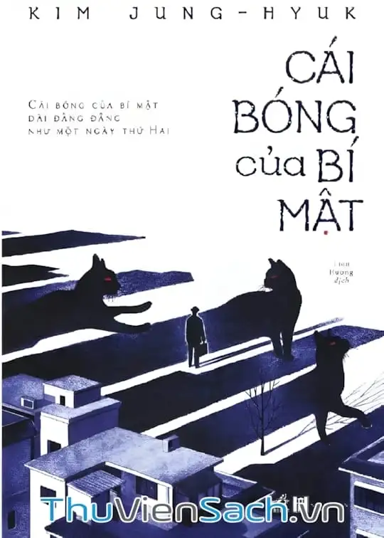 Ảnh bìa sách Cái Bóng của Bí Mật