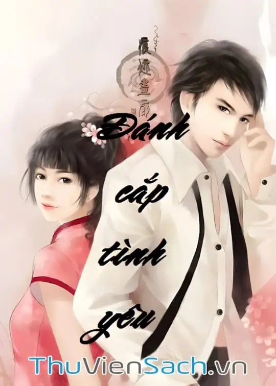 Ảnh bìa sách Đánh Cắp Tình Yêu