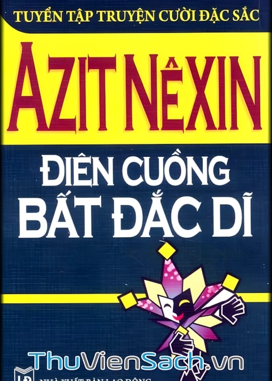 Ảnh bìa sách Điên Cuồng Bất Đắc Dĩ