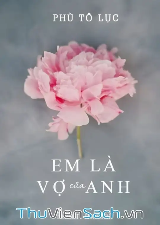 Ảnh bìa sách Em Là Vợ Của Anh