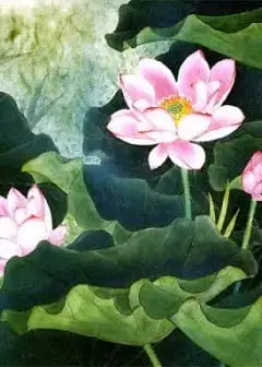 Ảnh Hoa Sen Với Đạo Phật