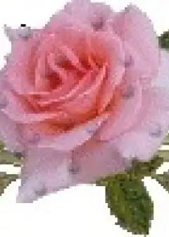 Ảnh Tiếng Chuông Dưới Đáy Biển