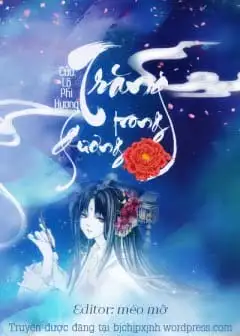 Ảnh Trăng Trong Gương