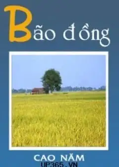 Ảnh Bão Đồng