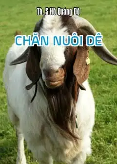 Ảnh Chăn Nuôi Dê