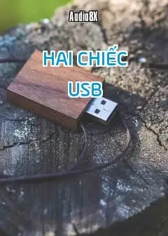 Hai Chiếc Usb