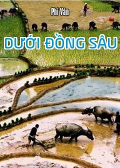 Ảnh Dưới Đồng Sâu