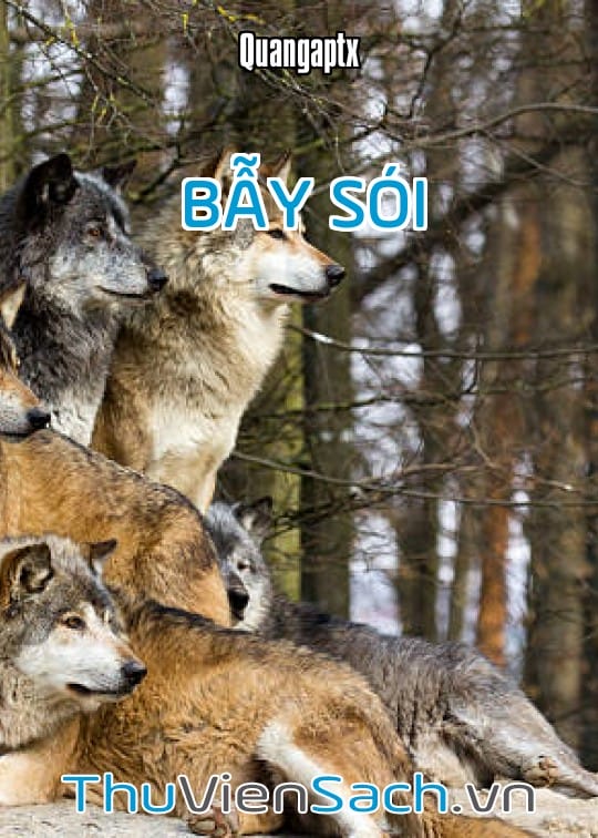 Ảnh bìa sách Bẫy Sói - Quangaptx