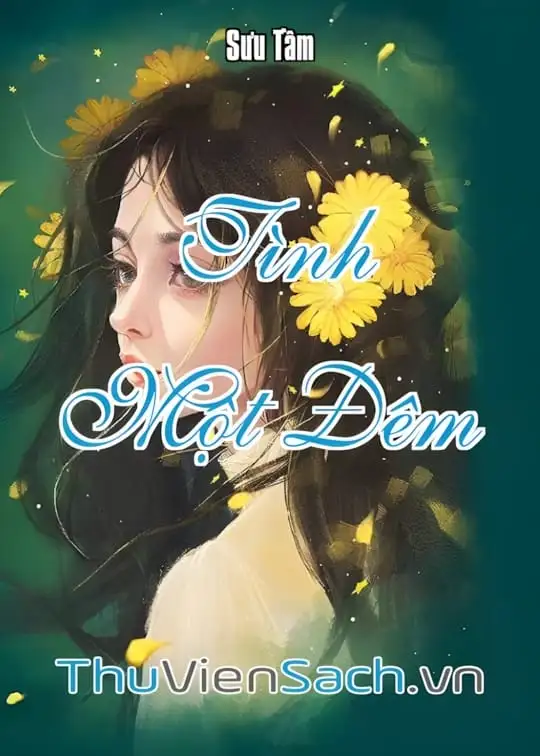 Ảnh bìa sách Tình Một Đêm