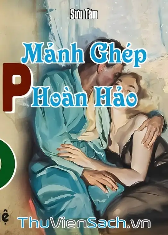 Ảnh bìa sách Mảnh Ghép Hoàn Hảo