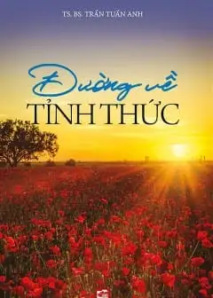 Ảnh Đường Về Tỉnh Thức