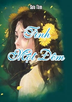 Tình Một Đêm