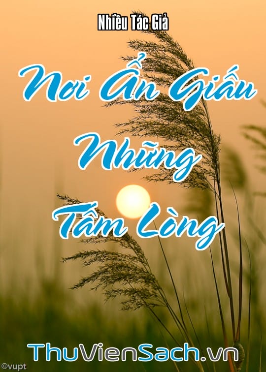 Ảnh bìa sách Nơi Ẩn Giấu Những Tấm Lòng