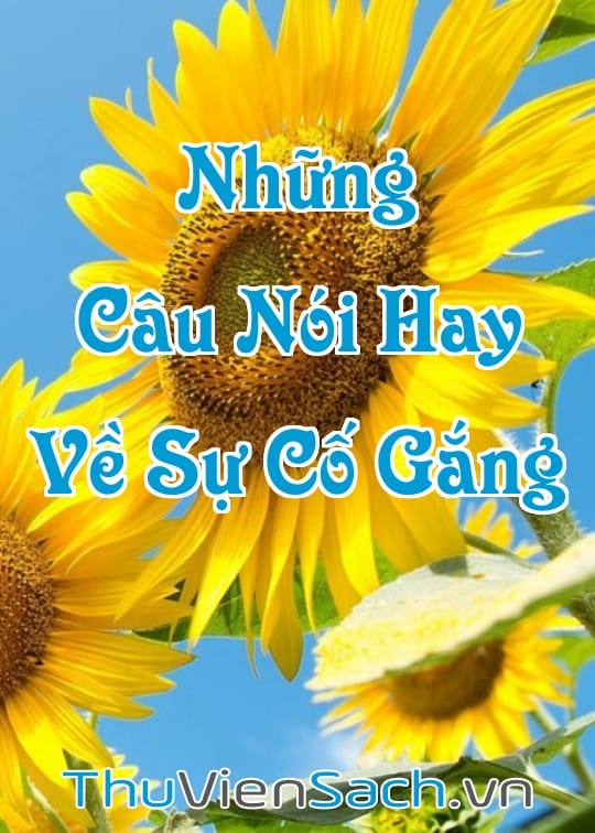 Ảnh bìa sách Những Câu Nói Hay Về Sự Cố Gắng, Chiến Thắng Bản Thân