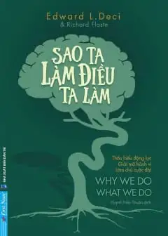 Ảnh Sao Ta Làm Điều Ta Làm