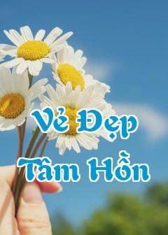 Những Câu Nói Về Vẻ Đẹp Tâm Hồn Ý Nghĩa Và Sâu Sắc Nhất
