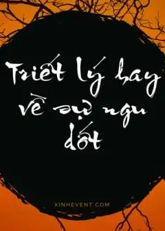 Ảnh 90+ Triết Lý Hay Về Sự Ngu Dốt Thâm Thúy Nhất Bạn Nên Biết