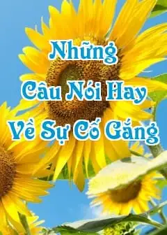 Ảnh Những Câu Nói Hay Về Sự Cố Gắng, Chiến Thắng Bản Thân