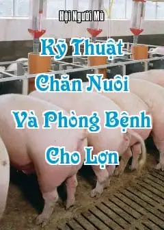 Kỹ Thuật Chăn Nuôi Và Phòng Bệnh Cho Lợn