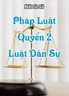 Ảnh Pháp Luật - Quyển 2: Luật Dân Sự