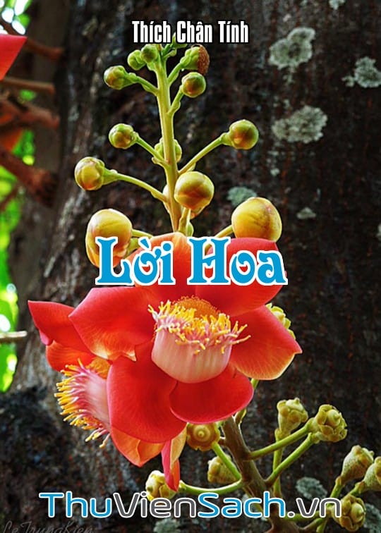 Ảnh bìa sách Lời Hoa