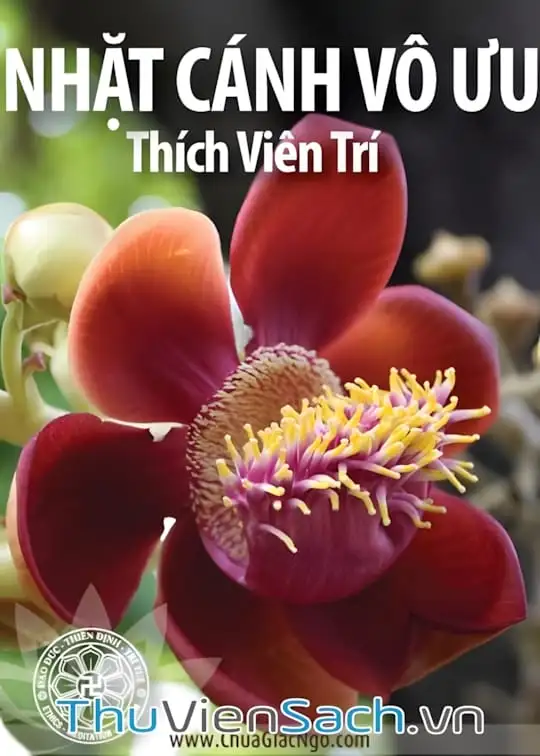 Ảnh bìa sách Nhặt Cánh Vô Ưu