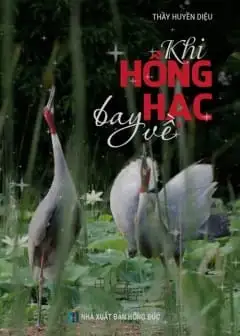 Ảnh Khi Hồng Hạc Bay Về