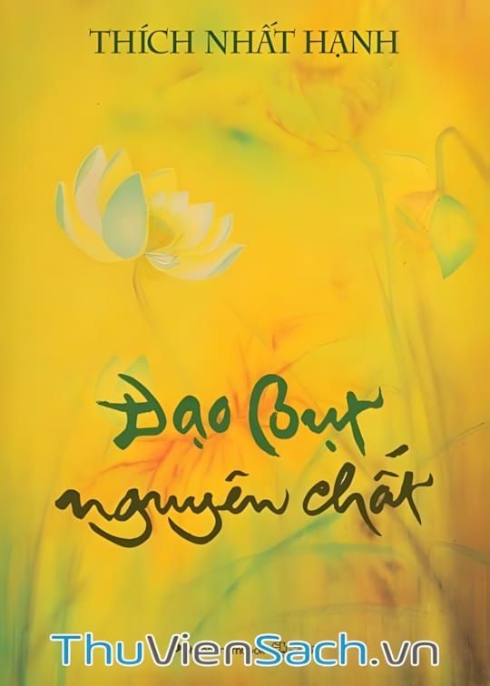 Ảnh bìa sách Đạo Bụt Nguyên Chất