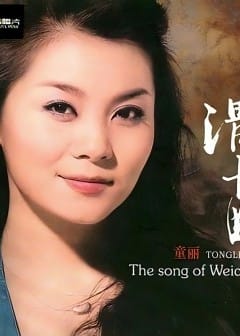 Những Bài Hát Hay Nhất Của Đồng Lệ