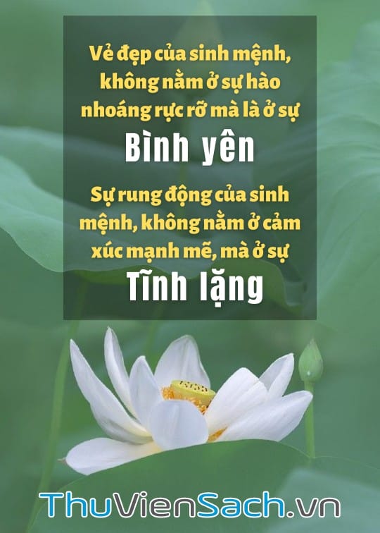 Ảnh bìa sách Tâm Tĩnh Lặng Ức Chế Lửa Oán Hận Là Một Cảnh Giới Cao Thượng Của Trí Tuệ
