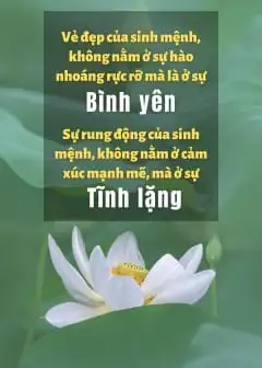 Tâm Tĩnh Lặng Ức Chế Lửa Oán Hận Là Một Cảnh Giới Cao Thượng Của Trí Tuệ