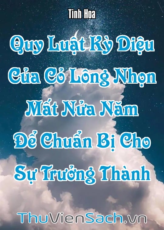 Ảnh bìa sách Quy Luật Kỳ Diệu Của Cỏ Lông Nhọn: Mất Nửa Năm Để Chuẩn Bị Cho Sự Trưởng Thành