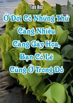 Ảnh Ở Đời Có Những Thứ Càng Nhiều Càng Gây Họa, Bạn Có Lẽ Cũng Ở Trong Đó