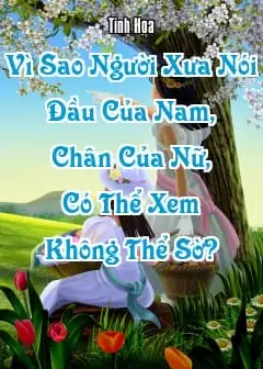 Ảnh Vì Sao Người Xưa Nói: “Đầu Của Nam, Chân Của Nữ, Có Thể Xem Không Thể Sờ”?