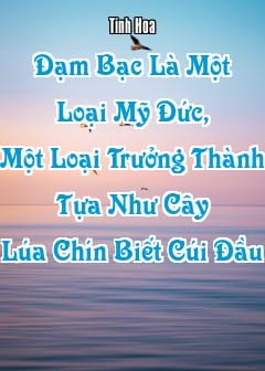 Đạm Bạc Là Một Loại Mỹ Đức, Một Loại Trưởng Thành Tựa Như Cây Lúa Chín Biết Cúi Đầu
