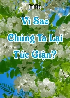 Ảnh Vì Sao Chúng Ta Lại Tức Giận?